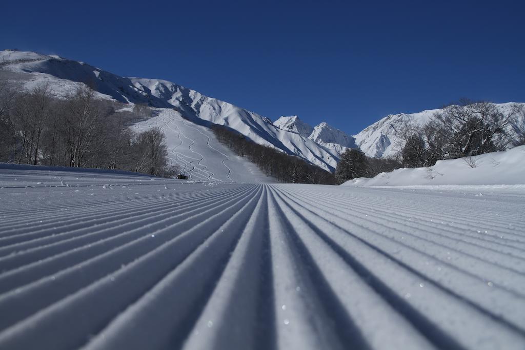 Hotel Oak Forest Hakuba Extérieur photo